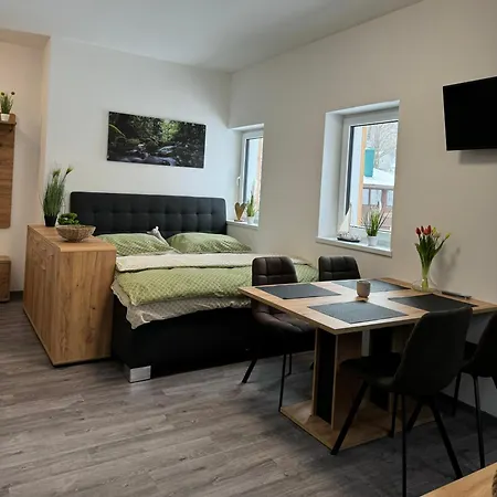 Rak Lipno Apartment